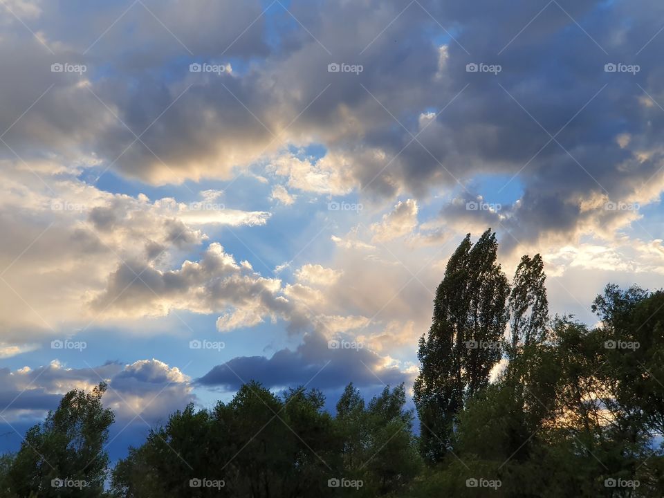 beautiful evening cloudy sky and trees