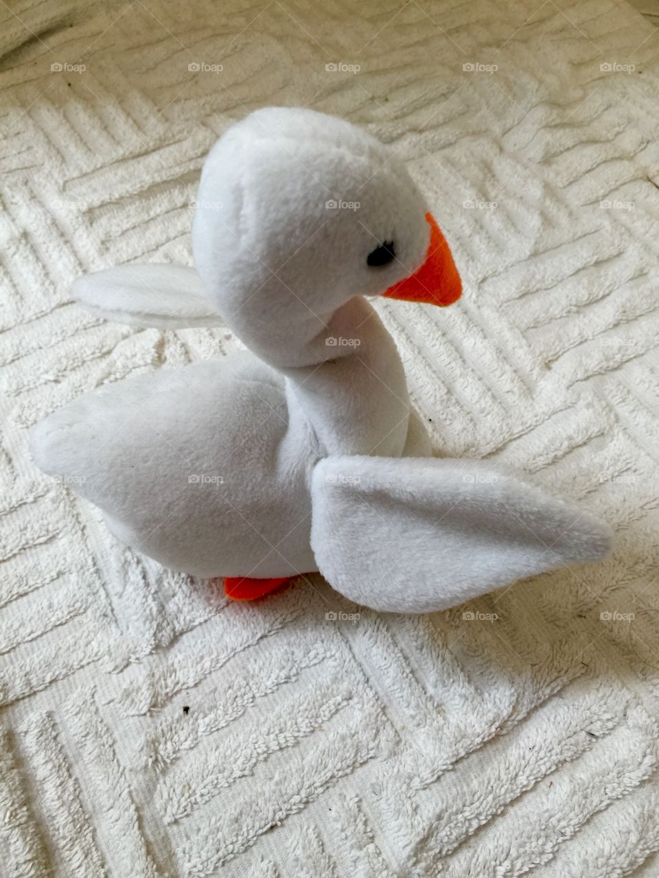 My duck