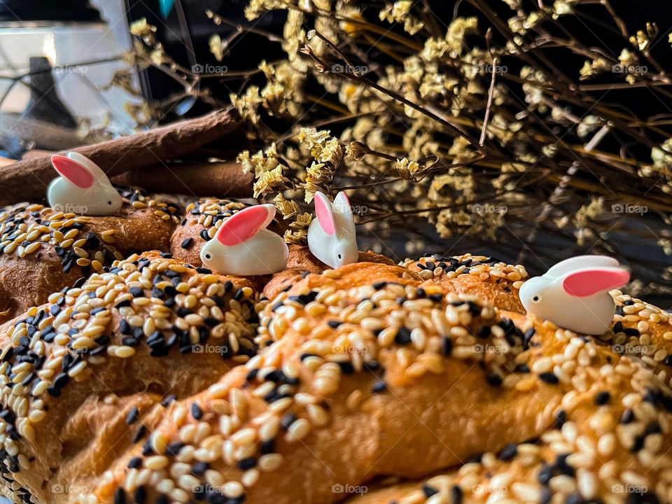 Miniature rabbits searching for food on top of sesame bread