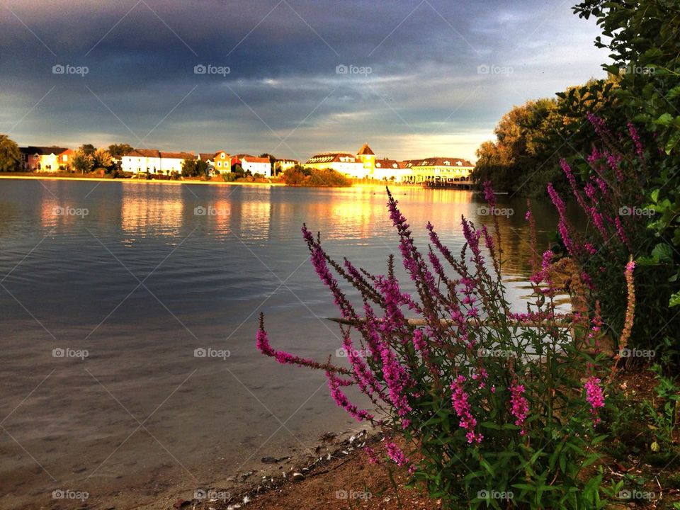 Sunset at the lake