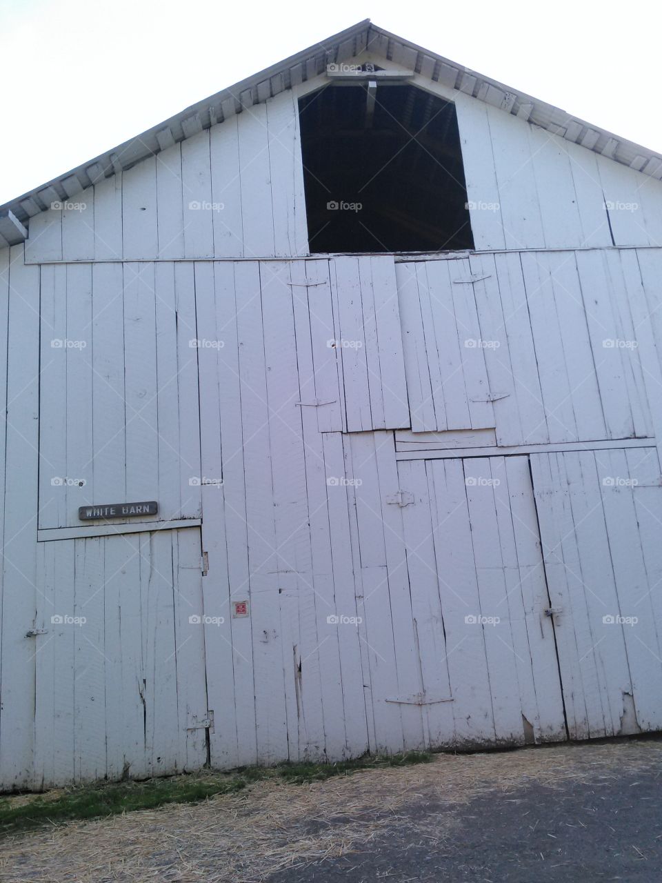 The white barn