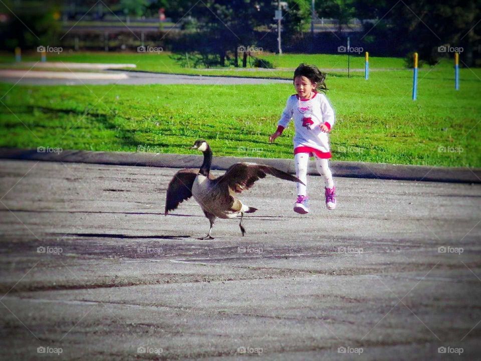a little girl chasing after a goose