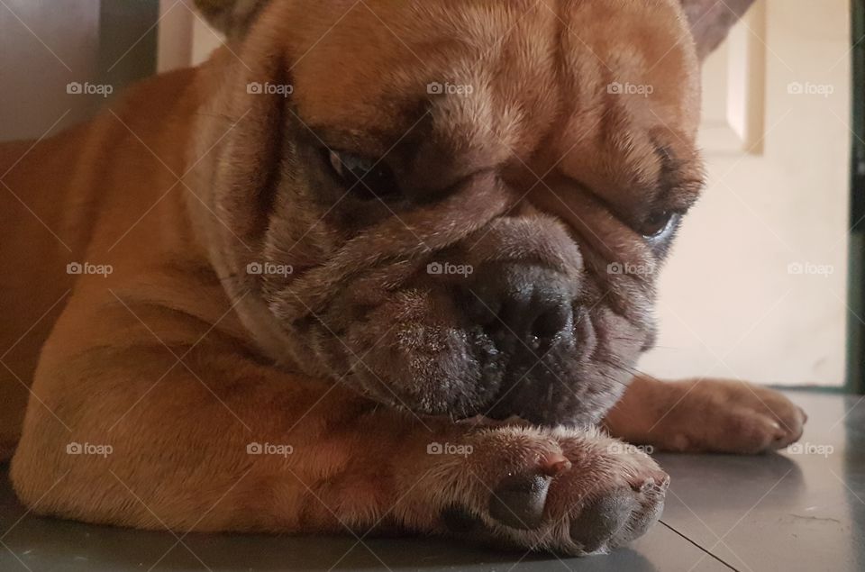 What have you done to my nails?