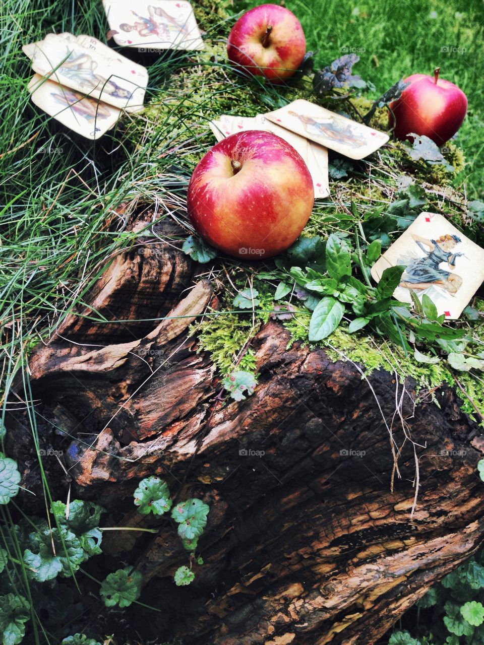 Apples, cards and nature . Delicious mess... 