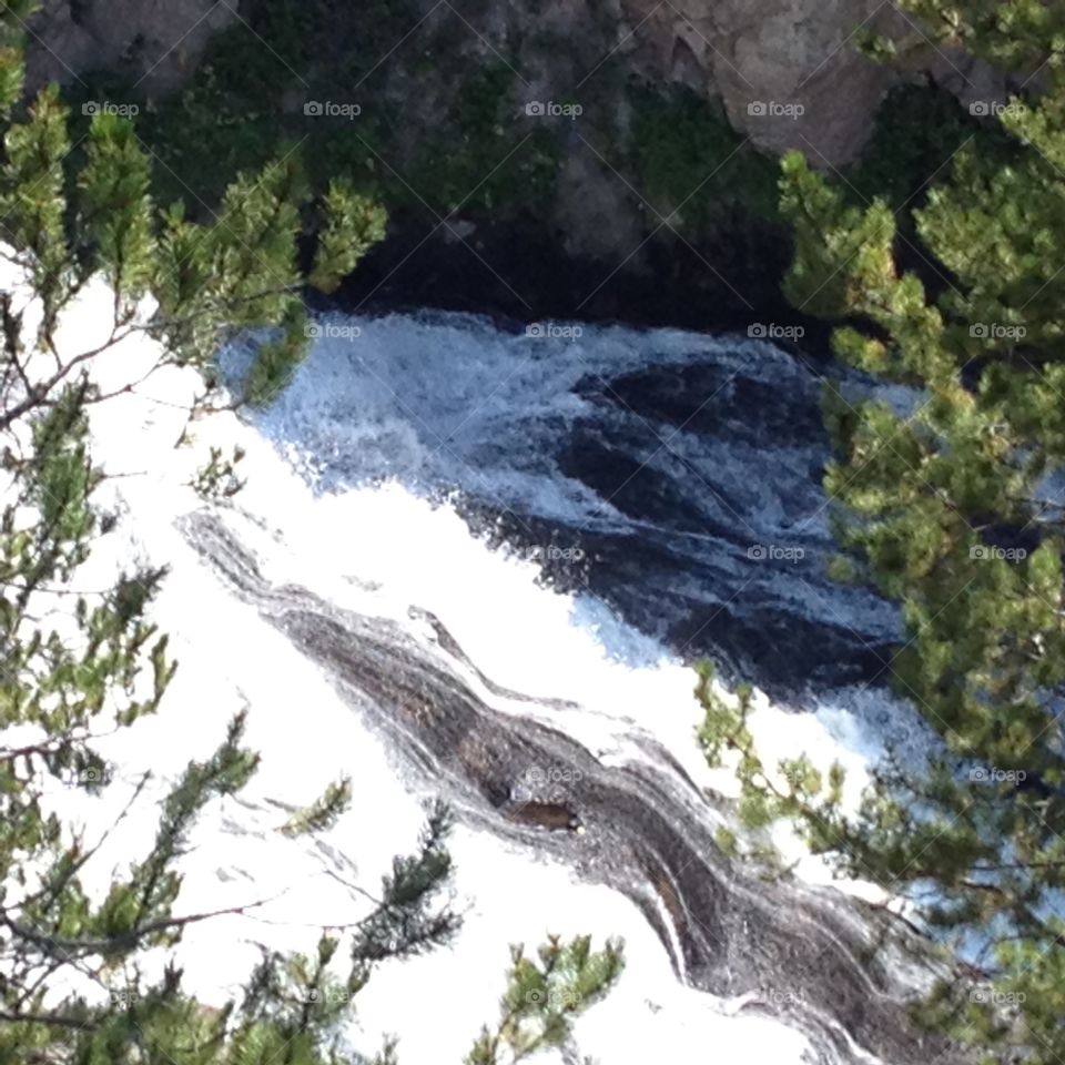 Raging Rapids In Yellowstone