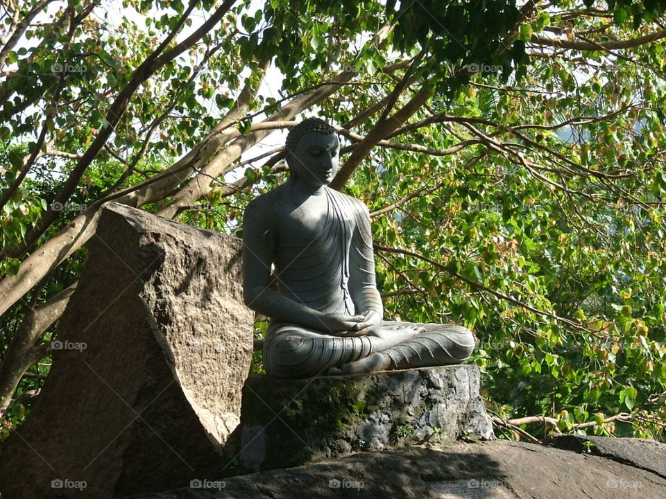 Buddha