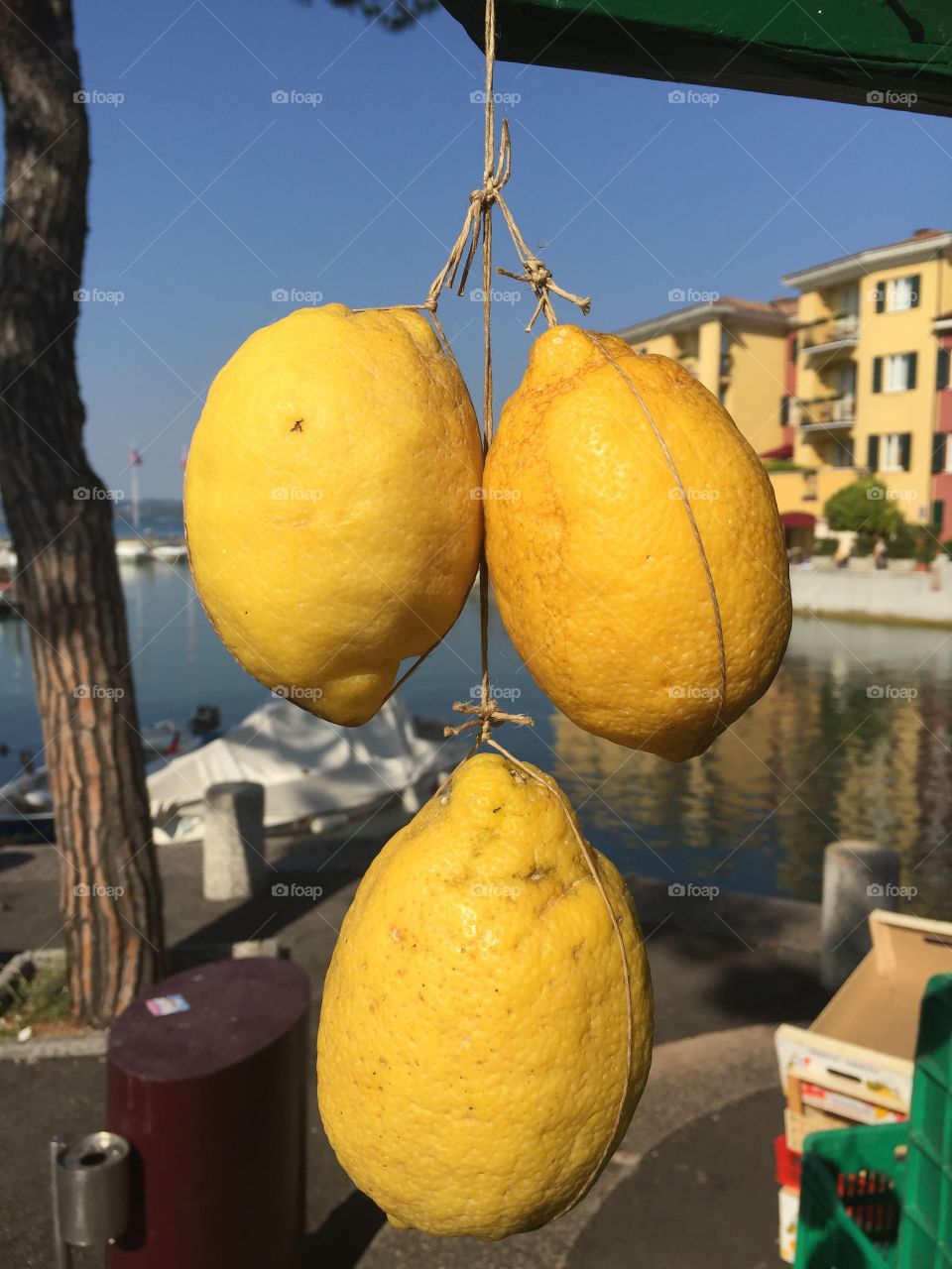 Lemon from Italy