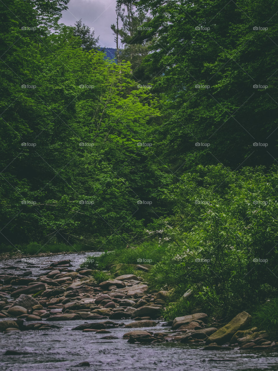 Arkville, New York, sun, sky, clouds, mountains, river, nature summer, top of the mountain , Landscape, view, panoramic view, forest, river, 