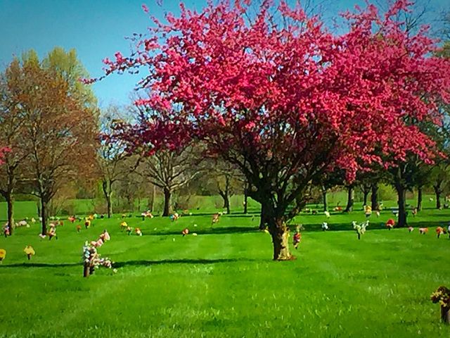 Beauty for the living and the deceased . Peaceful Beauty