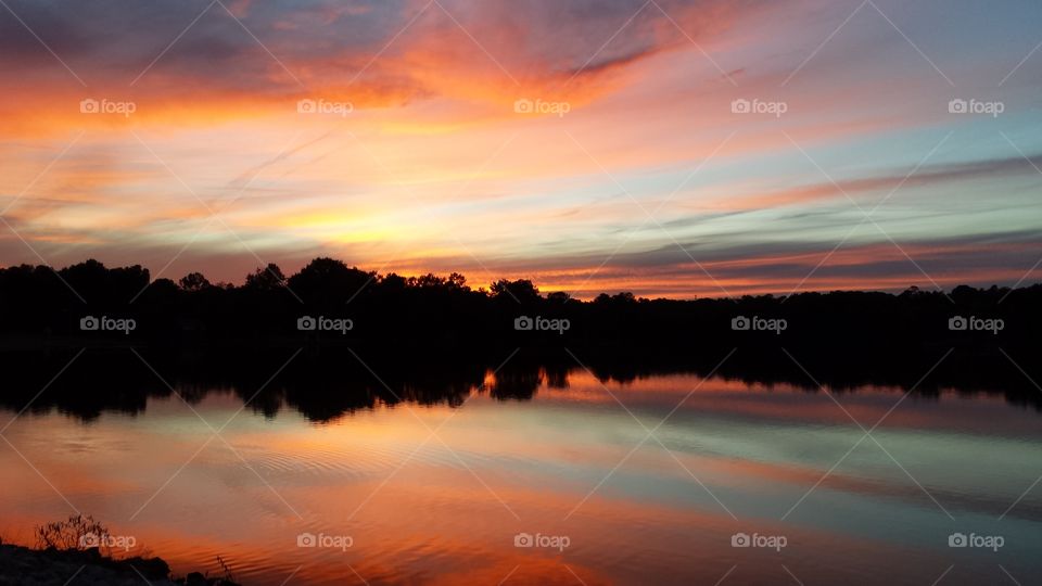 Reflection of silhouetted trees on lake during sunset