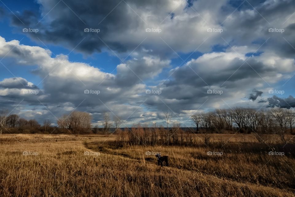 November Hike 