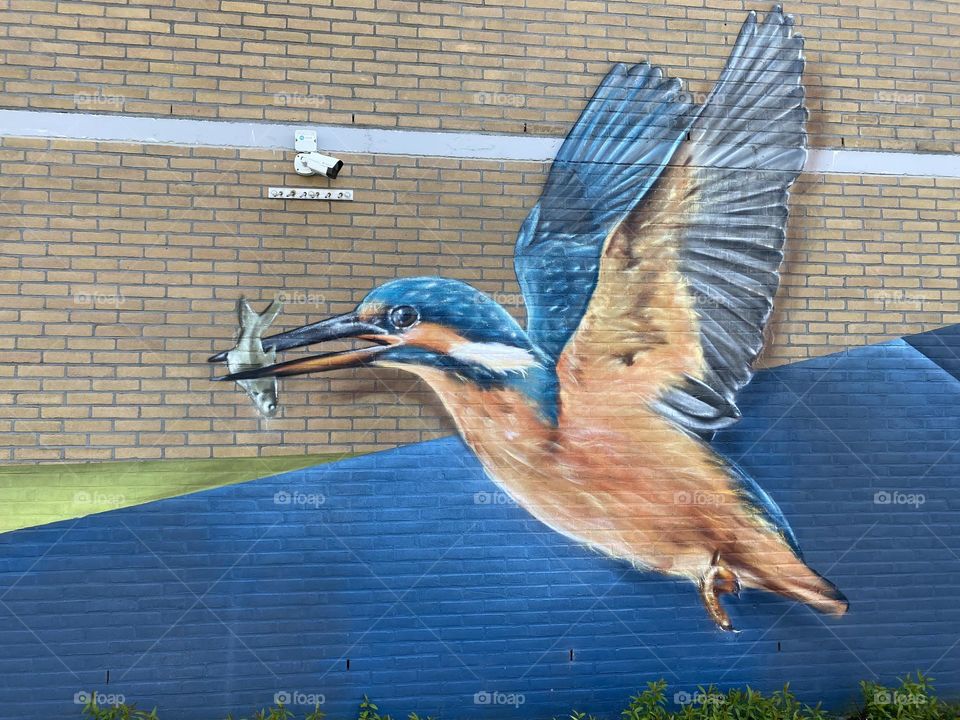 I love the detail of the birds feathers. Such an amazing picture 