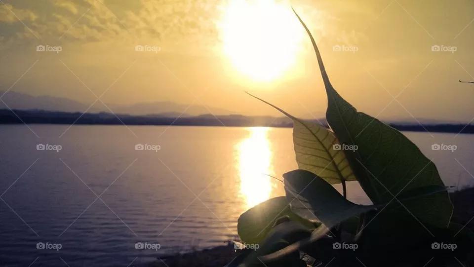 Sunrise