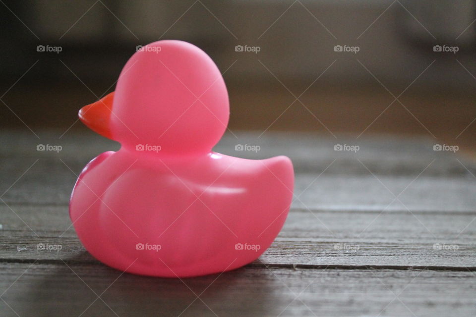 Close-up of a pink rubber duck