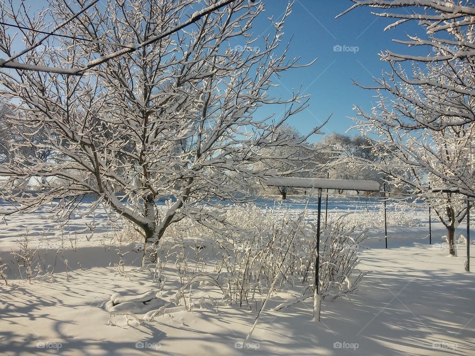 #winter in Ukraine #snow #nice weather