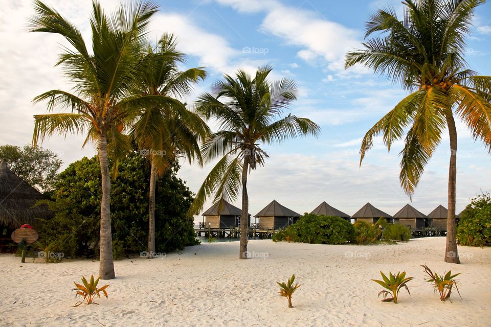 View of beach, Kuredu, Maldives