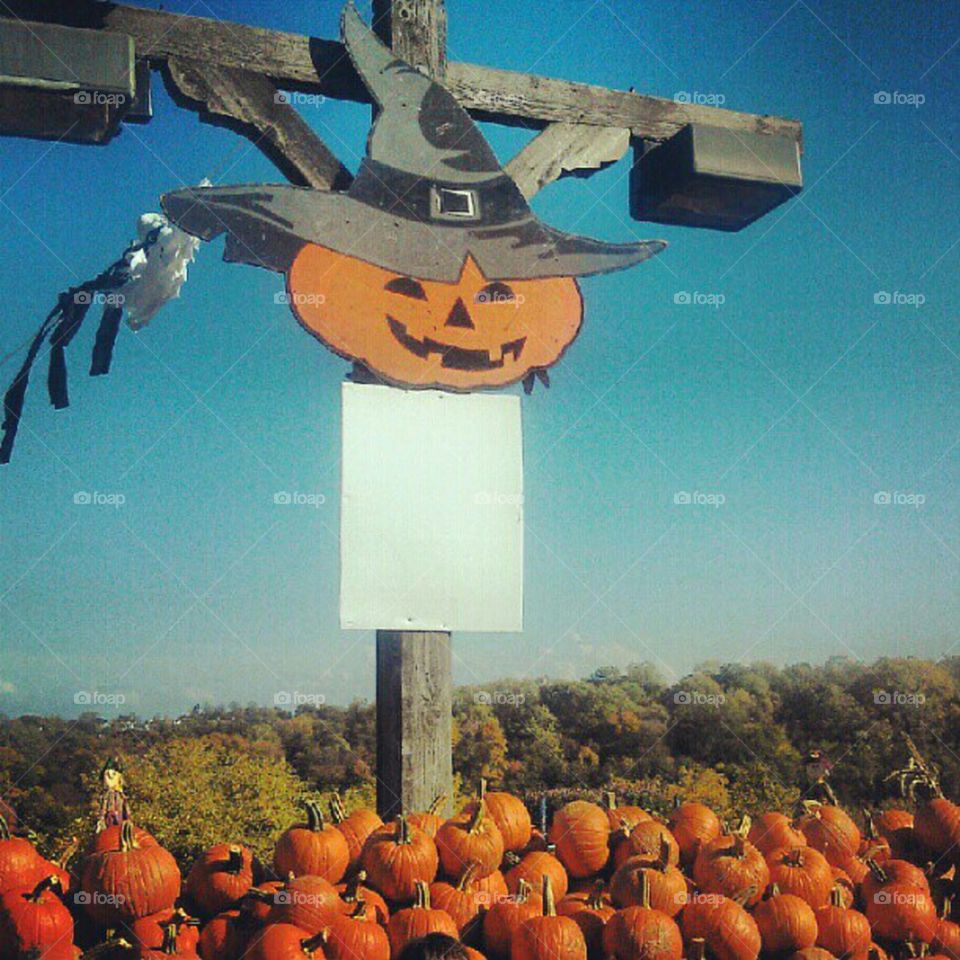 No Person, Halloween, People, Man, Pumpkin