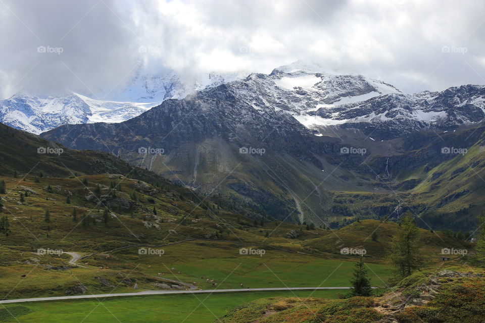 Mountains with snow-capped peaks, green fields and road