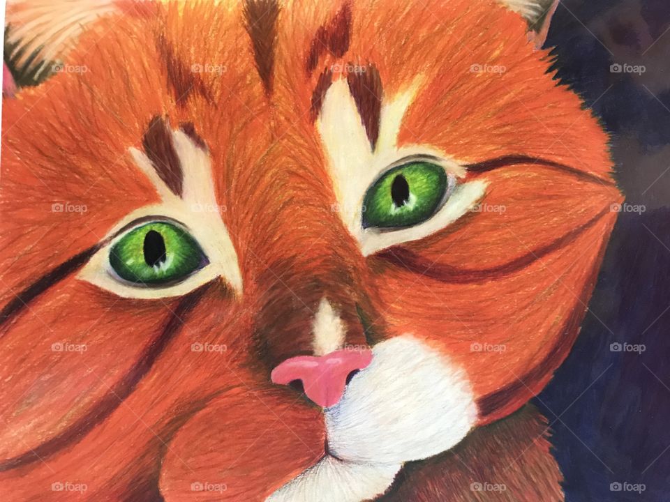 “Beloved Pumpkin” color pencil animal portrait 