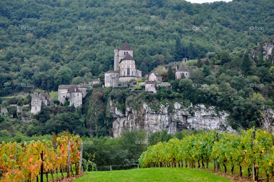 Vineyard view towards historic village 