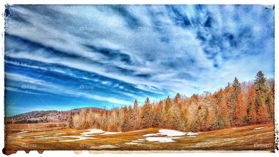 spring in Gatineau, Québec