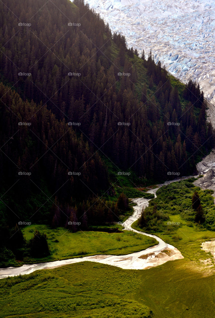 mountain trees ice forest by refocusphoto