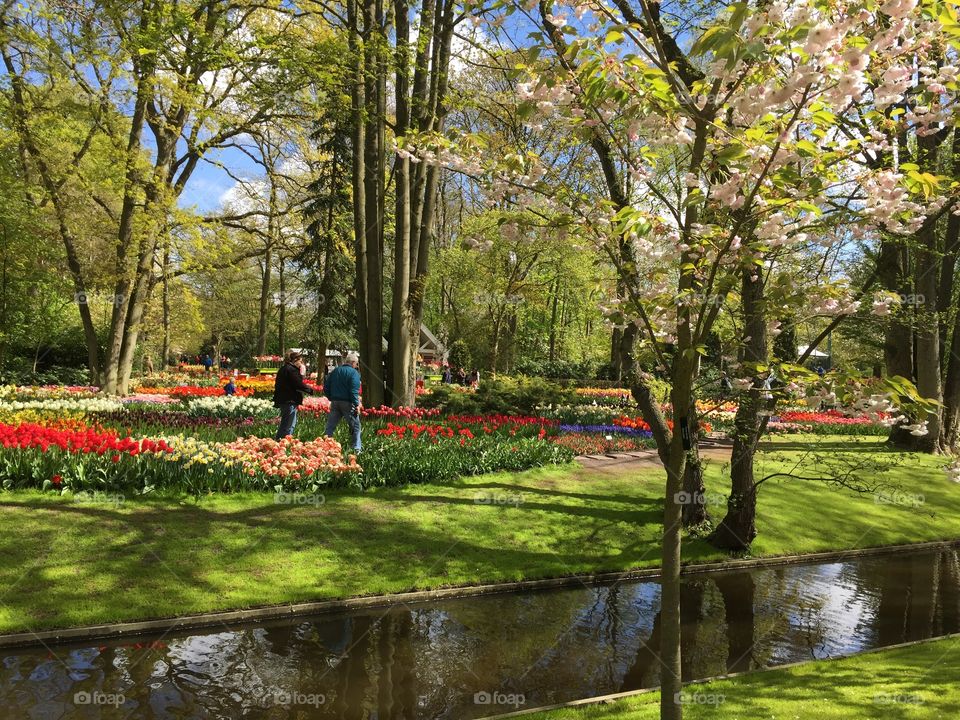 Gardiner working in spring