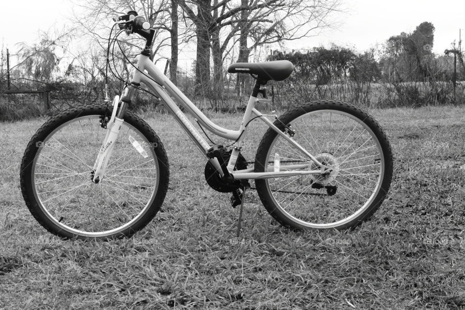 Bike in black and white