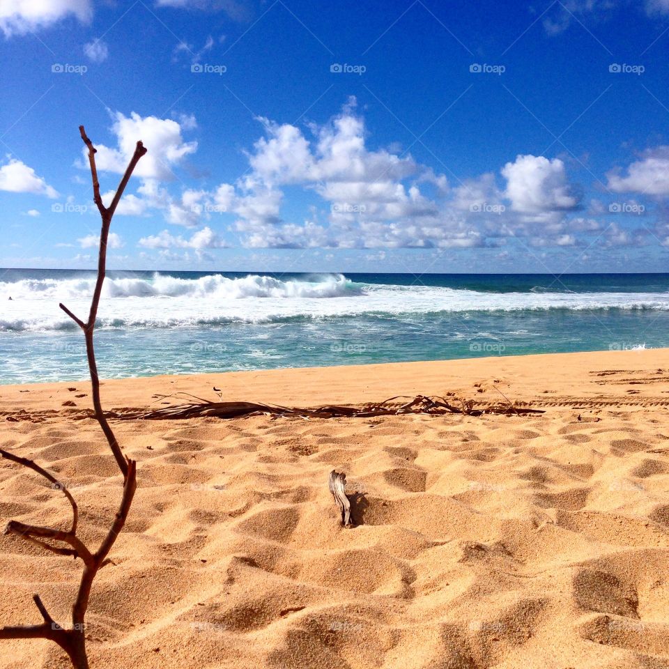 Haleiwa, Hawaii