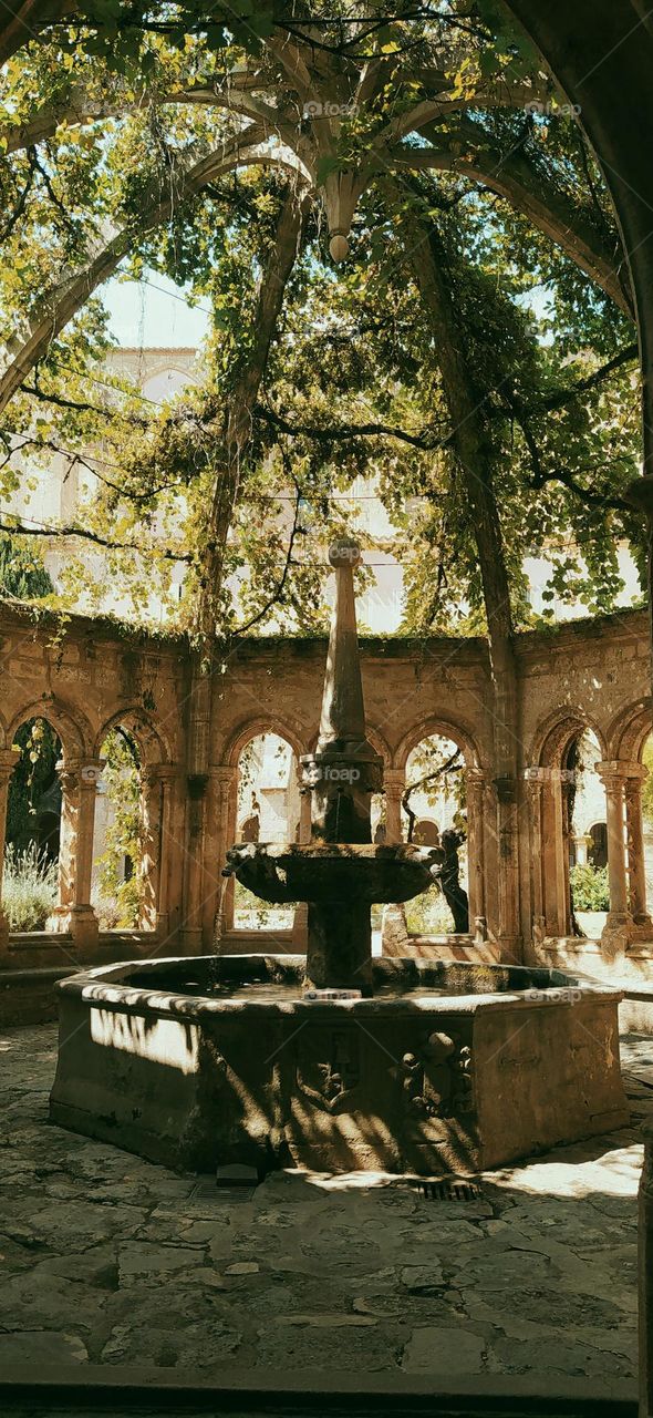 A fountain protected by a dome made of vines in a former abbey in the south of France with a vineyard.