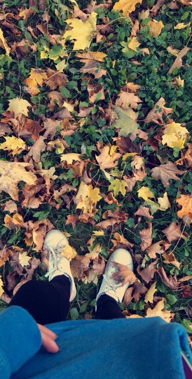 Fall season 🍁