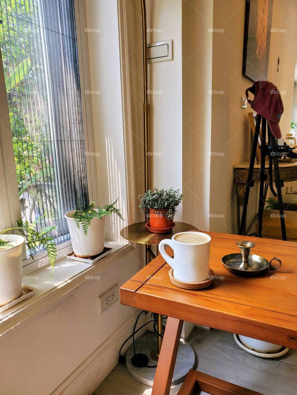 coffee office window view table plant