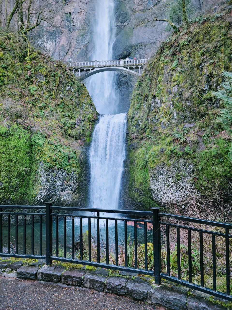 Multnomah Falls in Oregon
