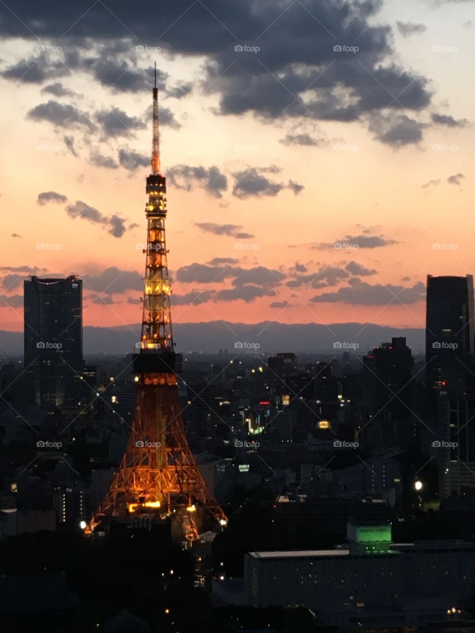 This is the best photograph ever!!!Tokyo Tower♡