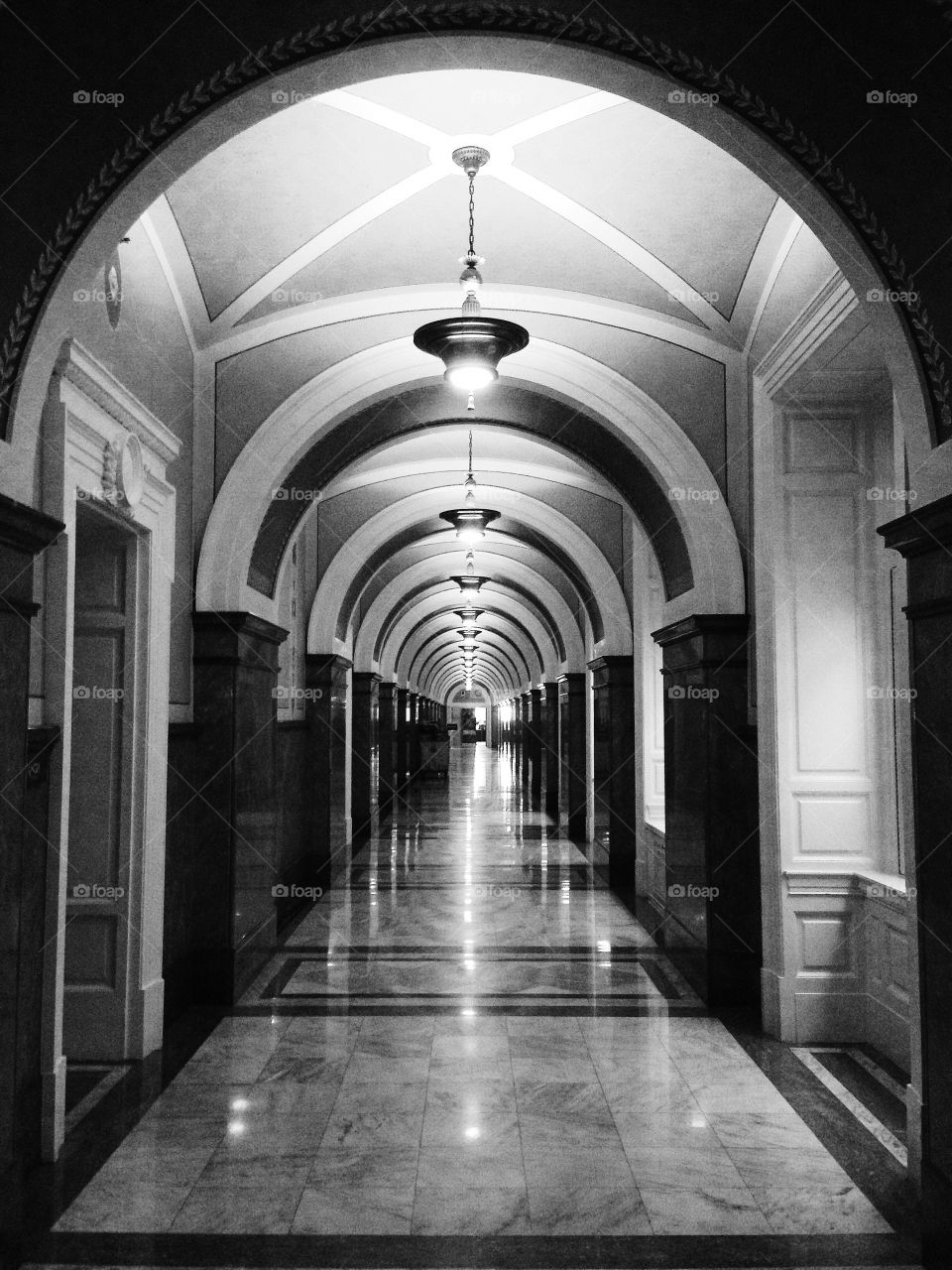 The Congressional Library 