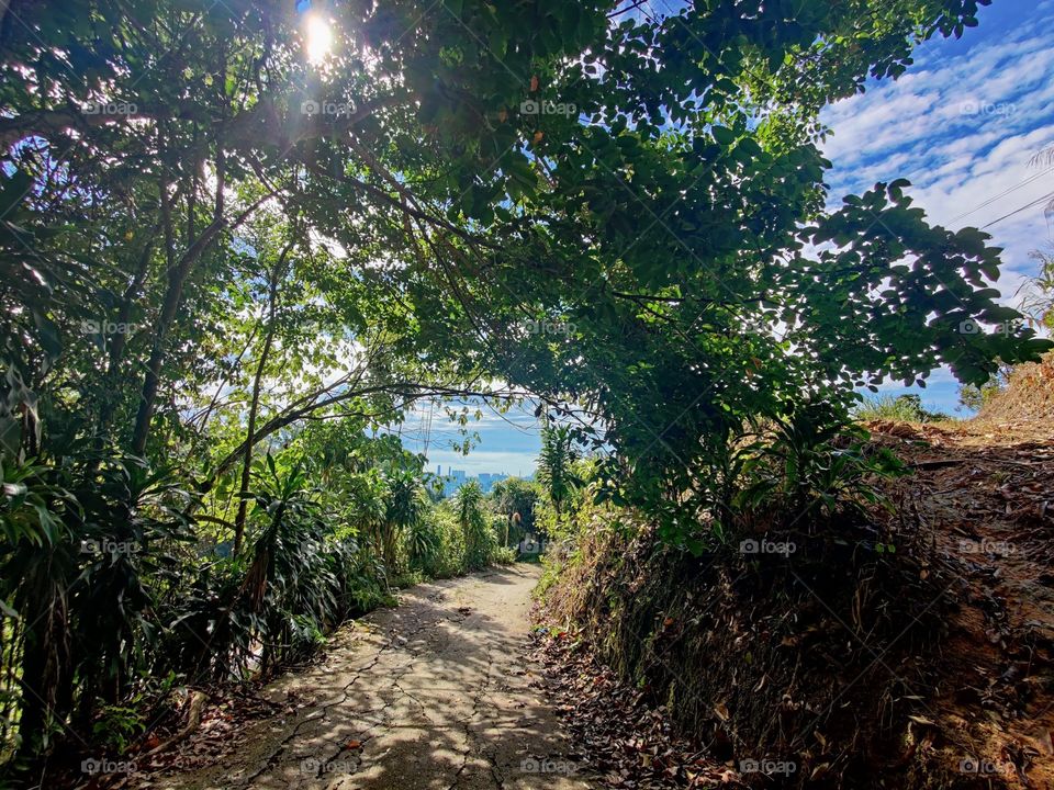 let's we stay out from machine life atleast once in a month and get attached into the mother nature of forest walk which gives us most pleasant moments to recollection of beautiful memories . Walking into the nature is the most beautiful and blessful