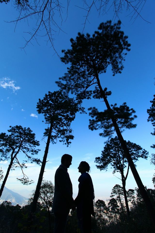Couple in the woods