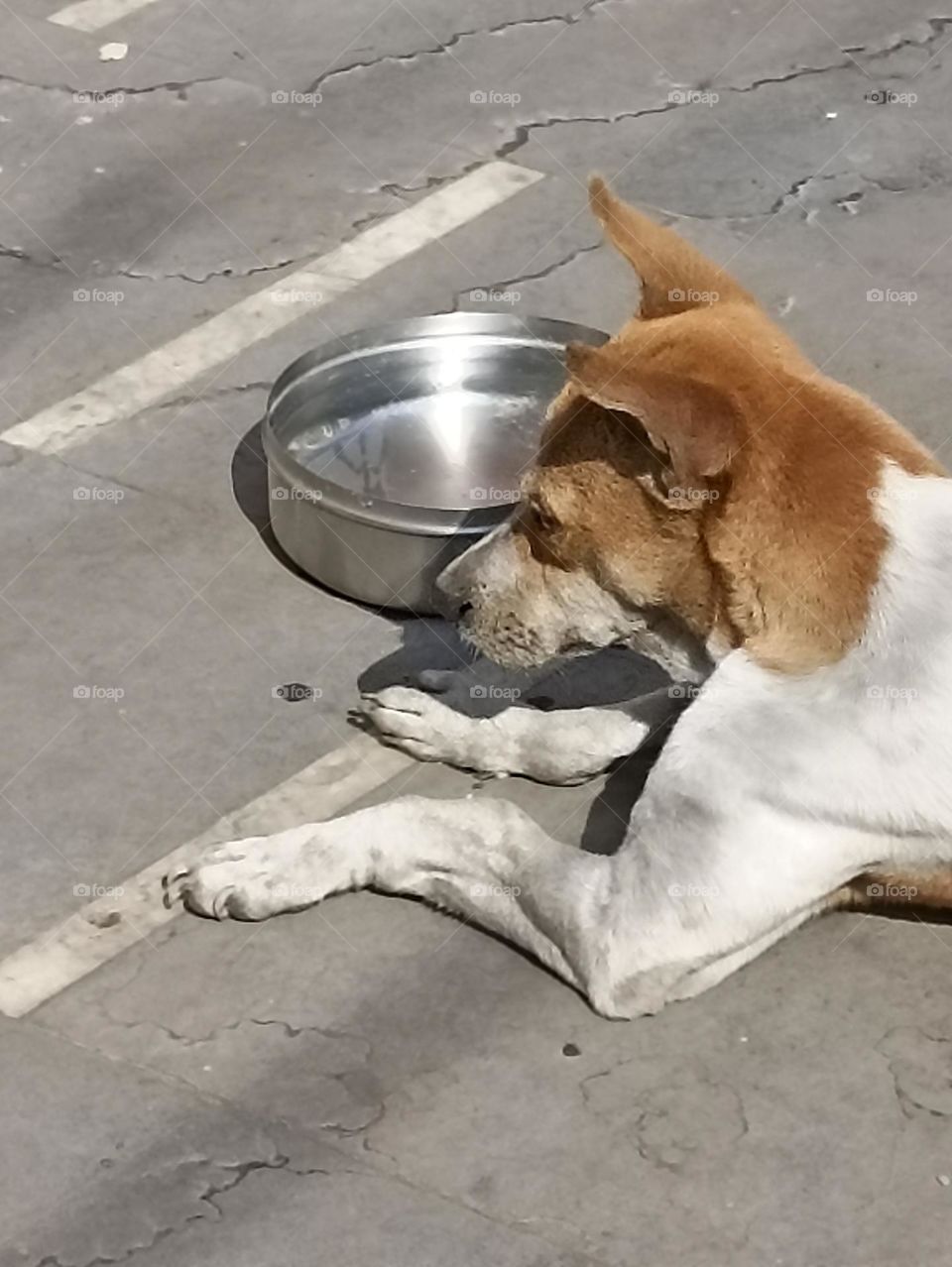 look I am watching you