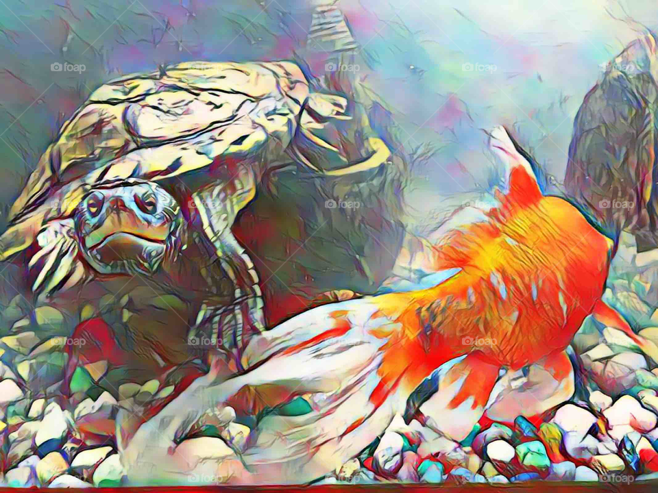 Turtle and goldfish friends