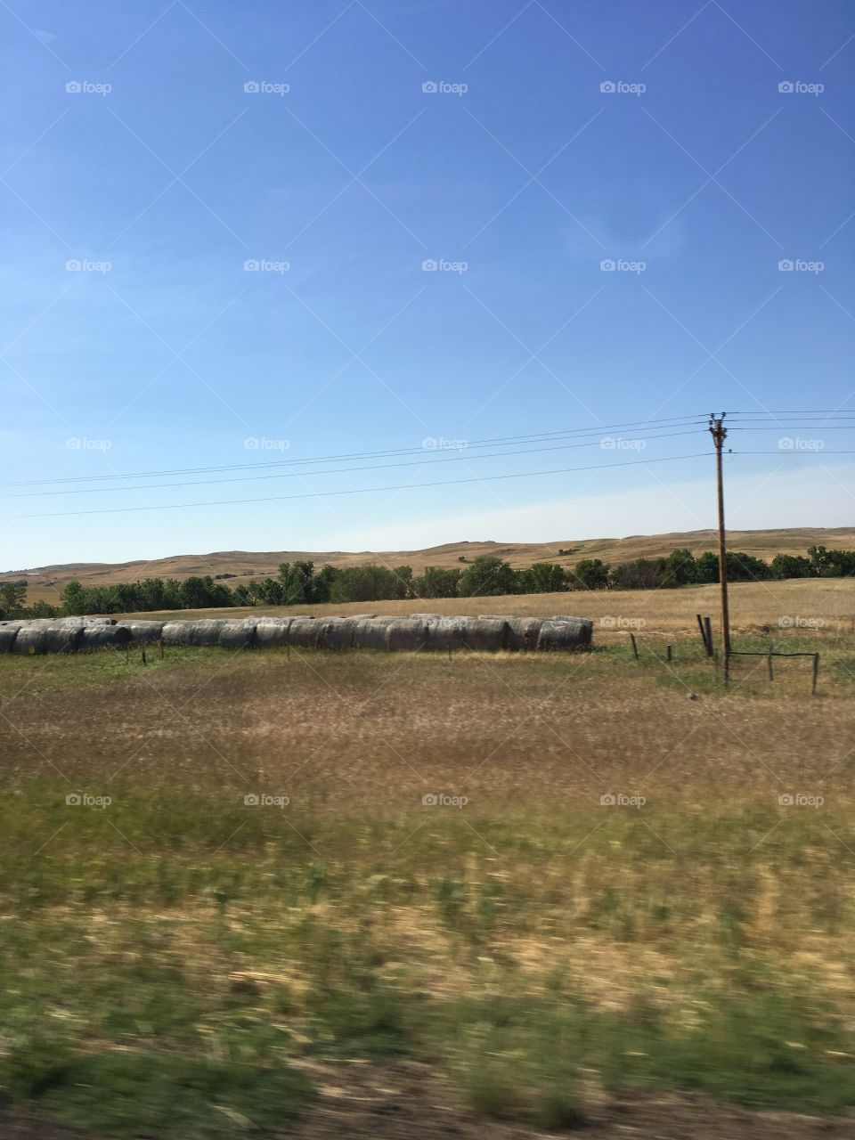 North Dakota field. 