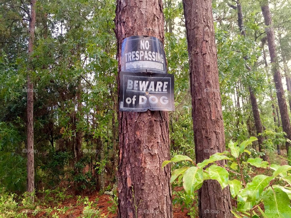 No Trespassing Woods. No Trespassing and Beware of Dog sign on tree in woods. 