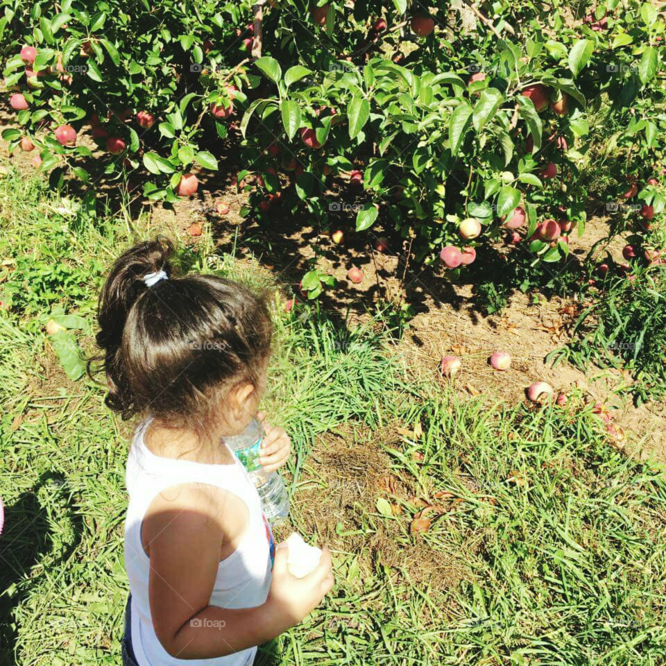 WHAT WILL THERE BE THERE?