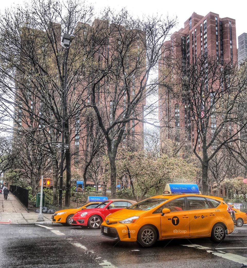 Bare trees and NYC taxi 