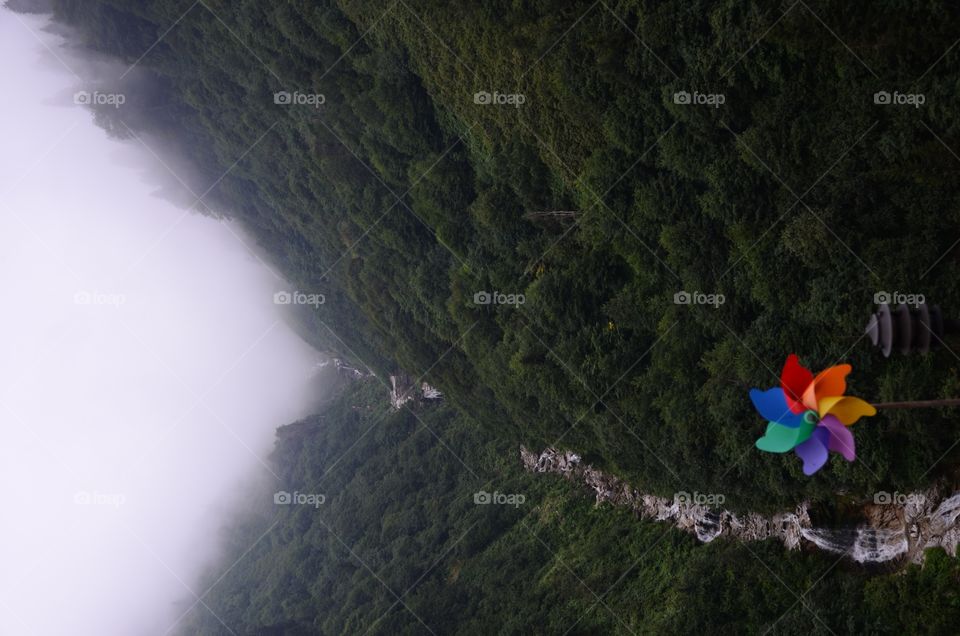Foggy mountain and a colorful wind rose.