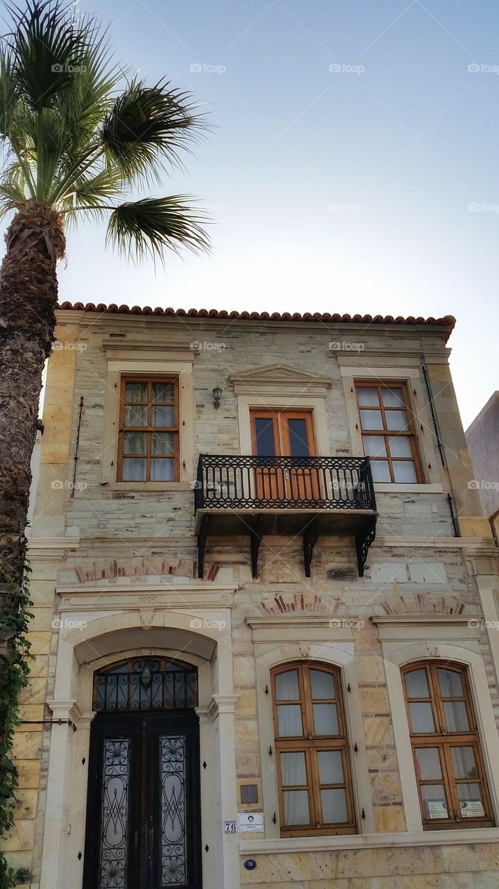 Under the palm tree. From Turkey