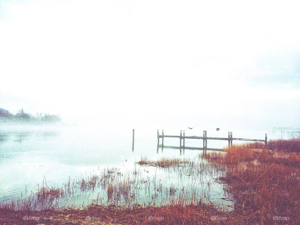 Foggy Harbour 