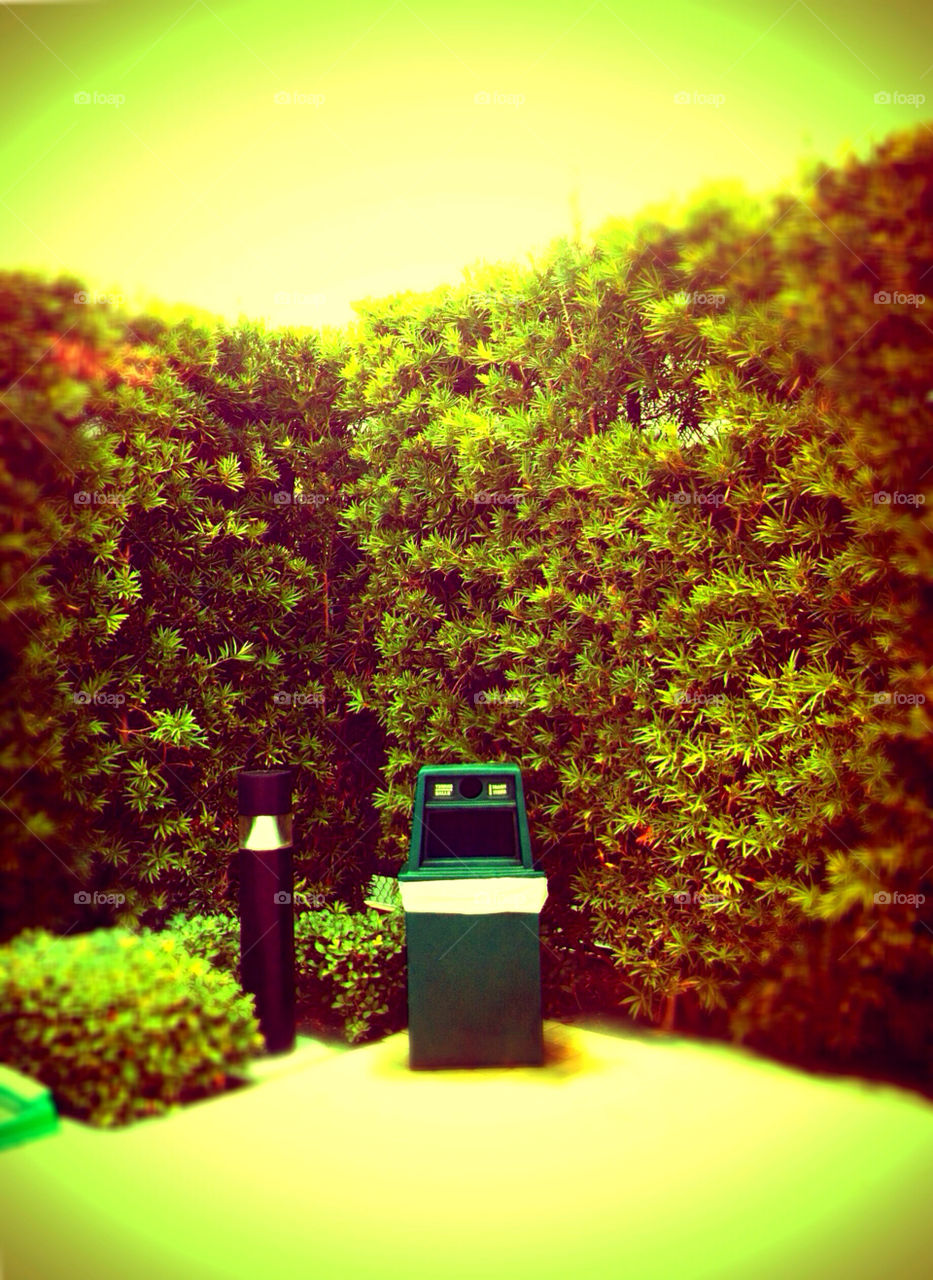Trash can. Tennis Club, Miami Beach, FL