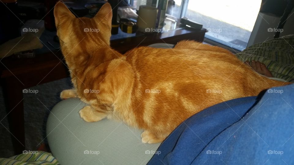 helping me get better