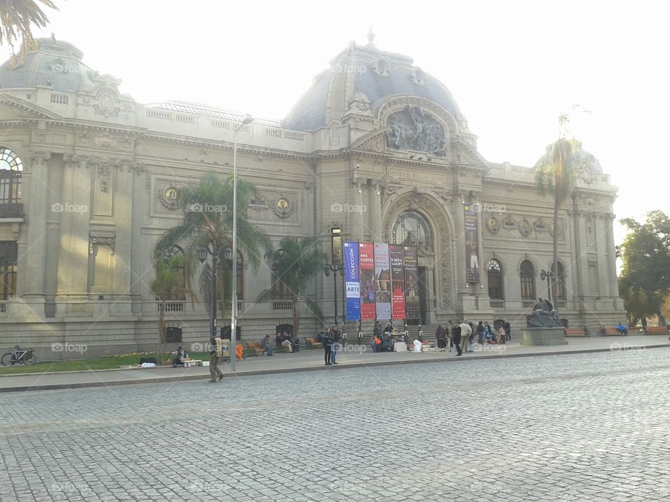 Chile Fine Arts Museum
