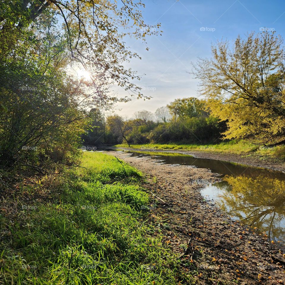 Creek bottom in the evening